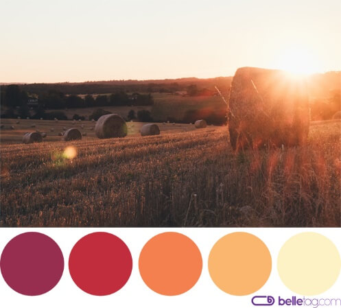 Warm color palette – is this your undertone?