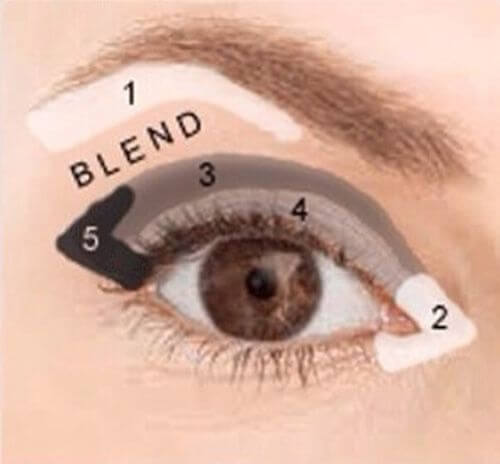 Visual guide on where to apply eyeshadow to define your crease and outer V.