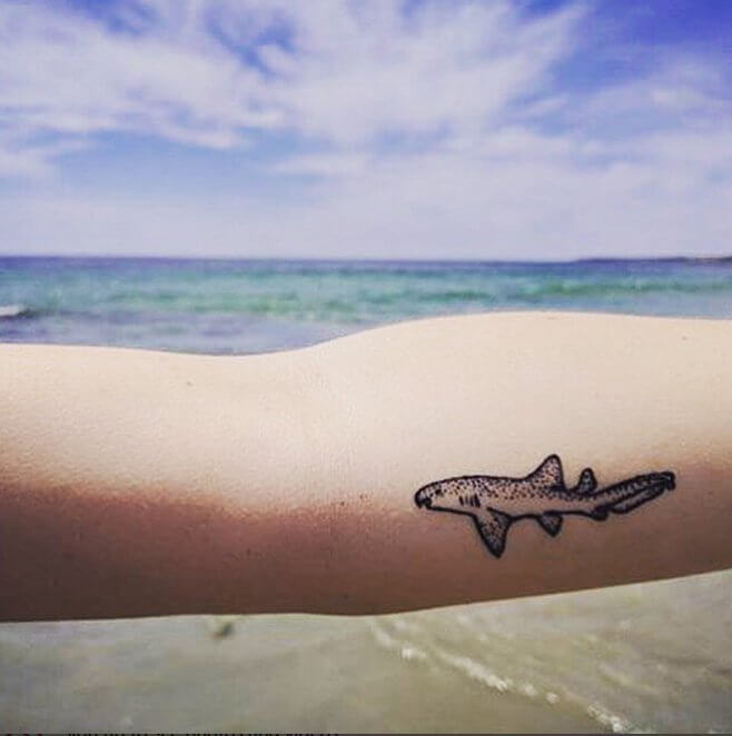 We all think sharks are dangerous and terrifying but look at this tattoo. It is cute, right? #summertattoo #minitattoo #minimalisttattoo