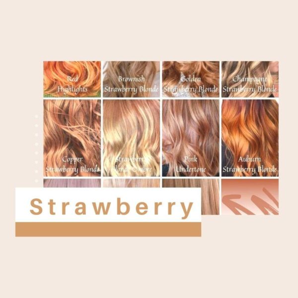 To Strawberry Hair Colour Chart