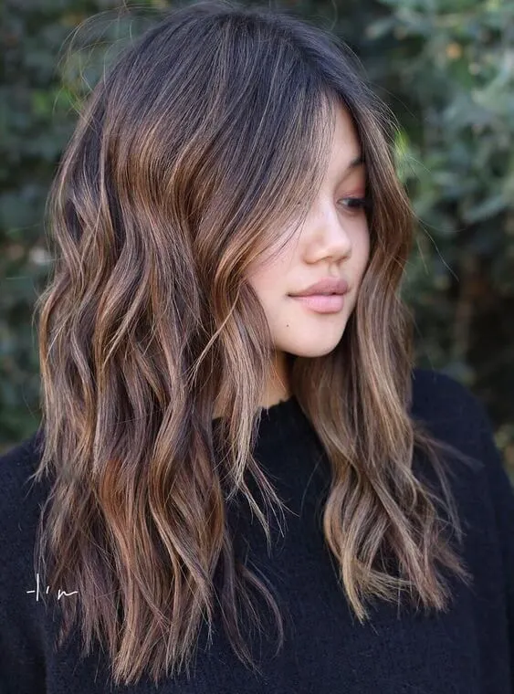 Brown Hair with Highlights