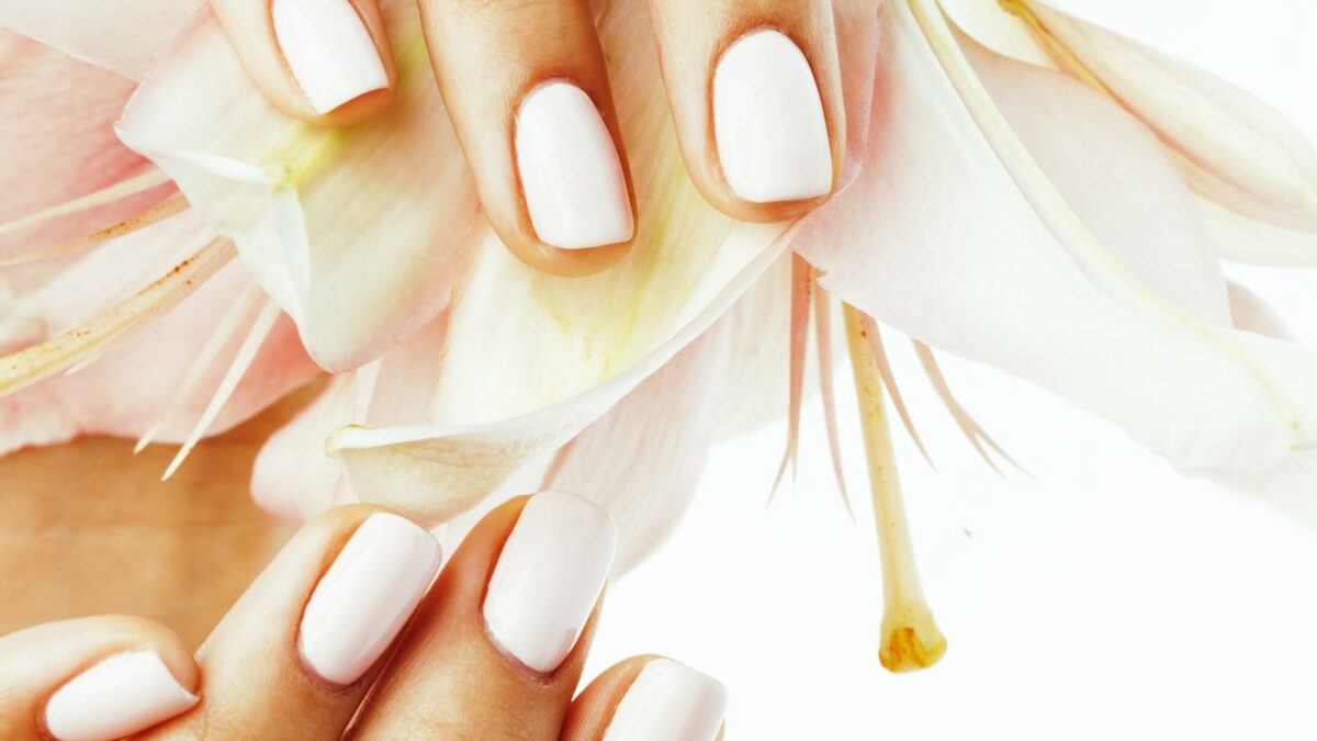 beauty delicate hands with manicure holding flower lily close up isolated
