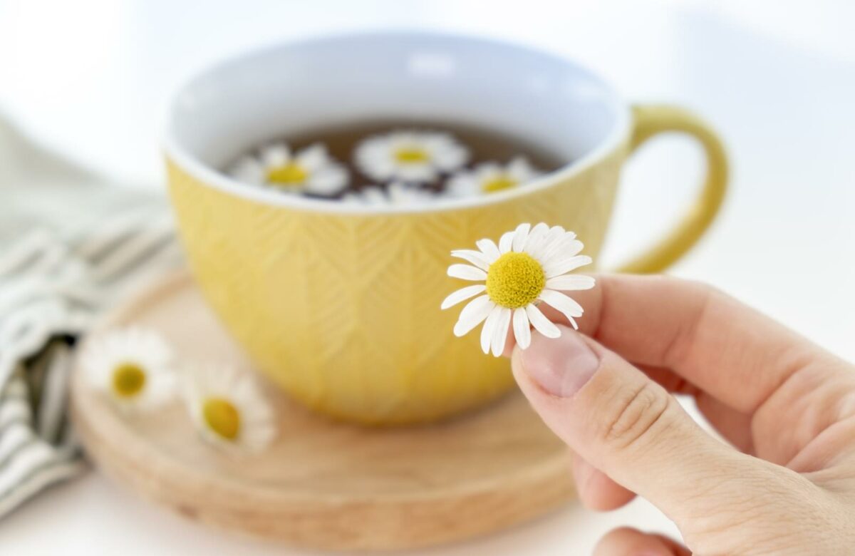 Female hand with cup of hot chamomile tea on light wooden background