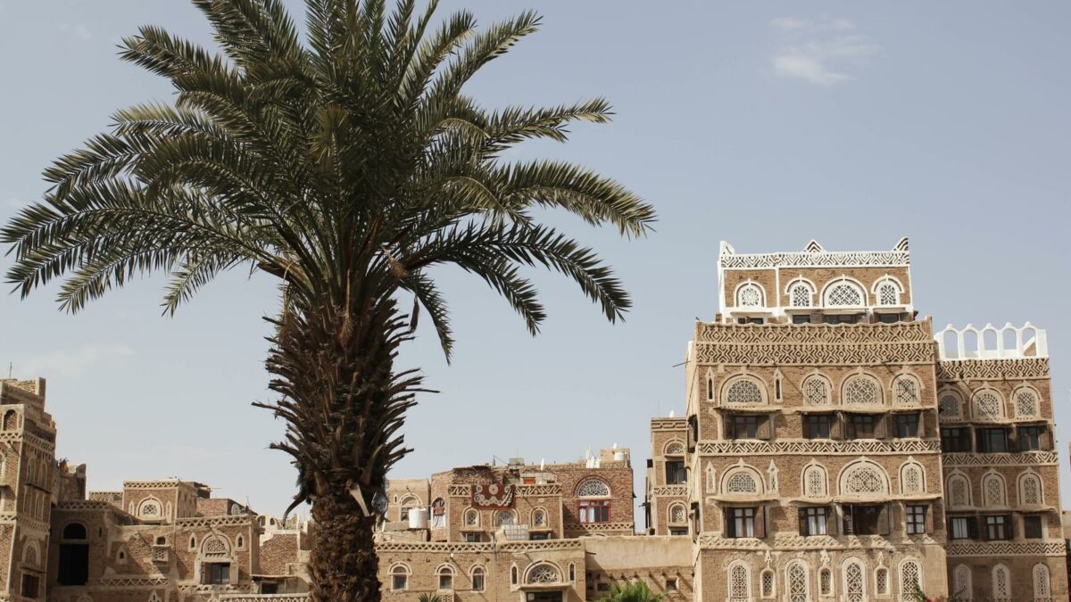 Buildings surrounded by palm trees (Yemen)