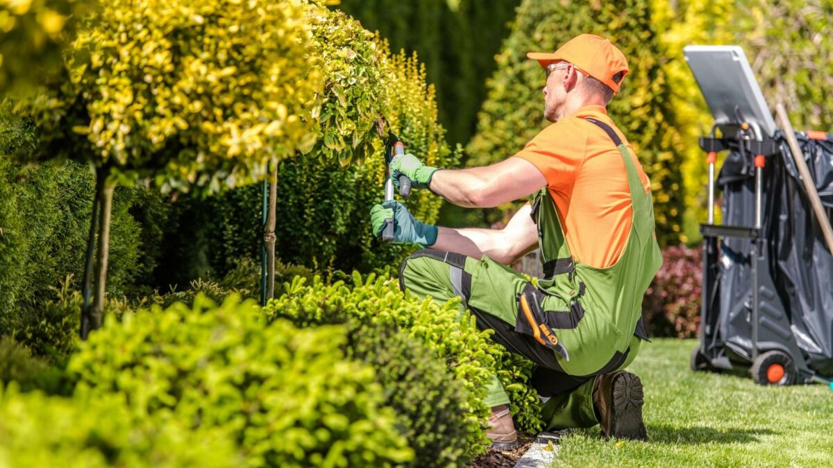 Garden worker trimming plants