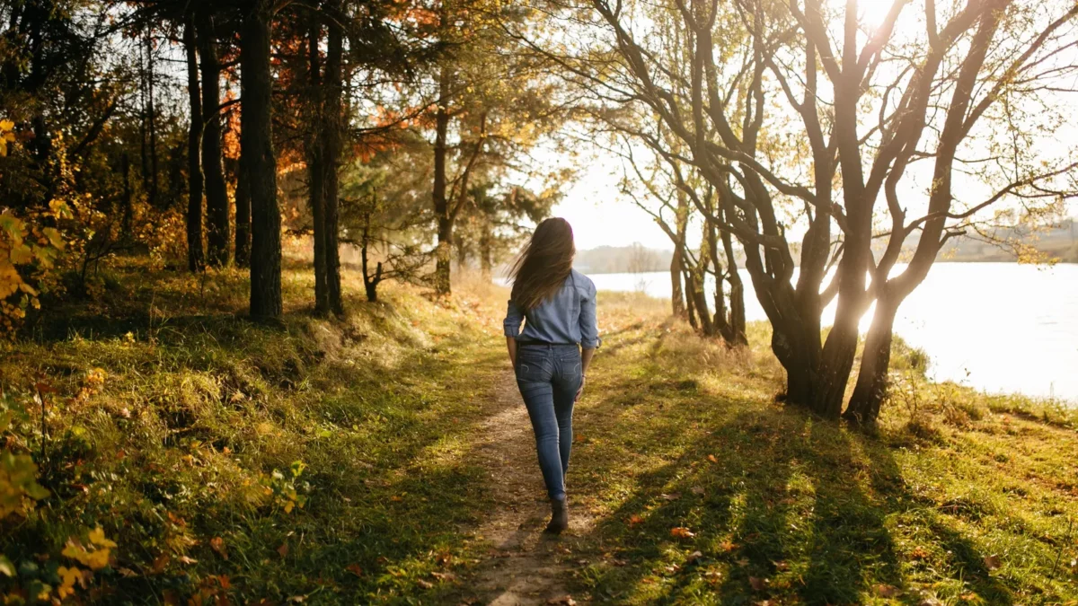 Walking in autumn forest