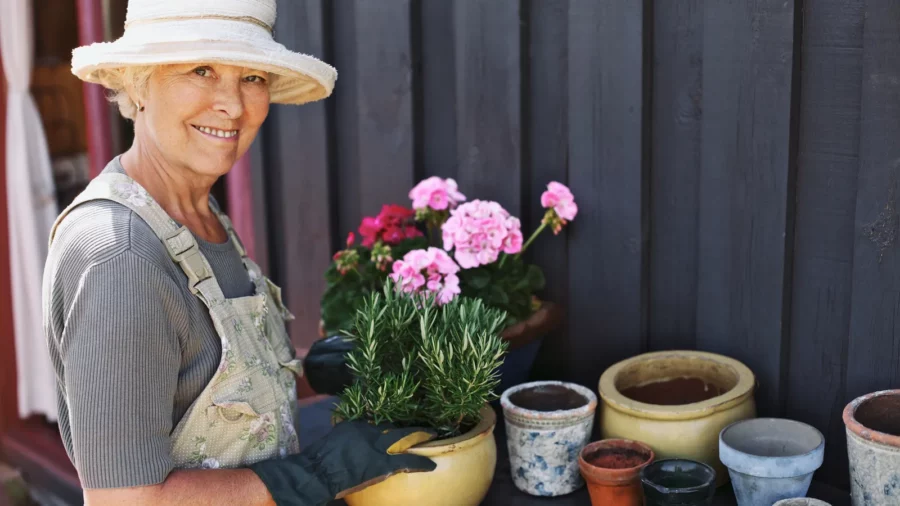 Senior woman potting some plants